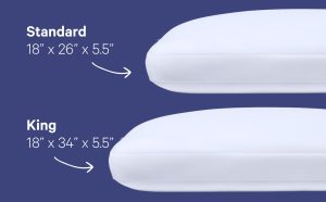 Foam Pillow