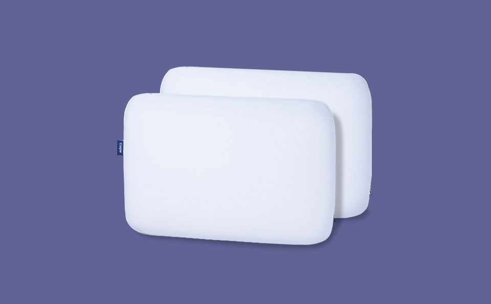Foam Pillow with Snow Technology Double Pack
